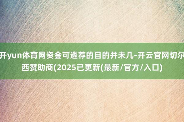 开yun体育网资金可遴荐的目的并未几-开云官网切尔西赞助商(2025已更新(最新/官方/入口)