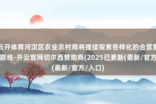 云开体育河汉区农业农村局将捏续探索各样化的合营聚积发展路线-开云官网切尔西赞助商(2025已更新(最新/官方/入口)