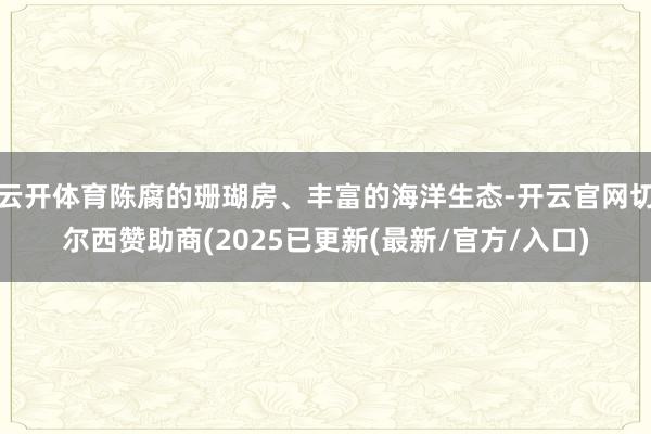 云开体育陈腐的珊瑚房、丰富的海洋生态-开云官网切尔西赞助商(2025已更新(最新/官方/入口)