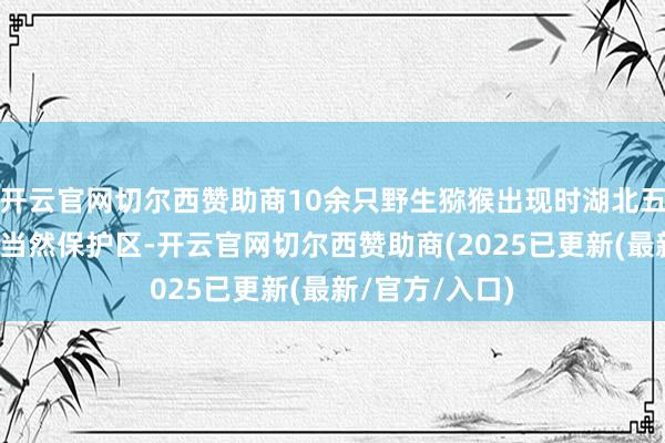 开云官网切尔西赞助商10余只野生猕猴出现时湖北五峰后河国度级当然保护区-开云官网切尔西赞助商(2025已更新(最新/官方/入口)