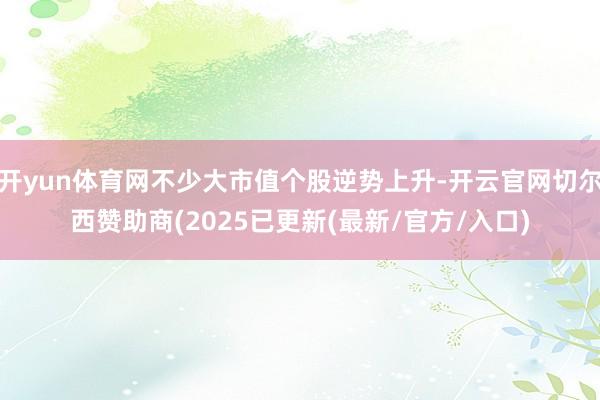 开yun体育网不少大市值个股逆势上升-开云官网切尔西赞助商(2025已更新(最新/官方/入口)