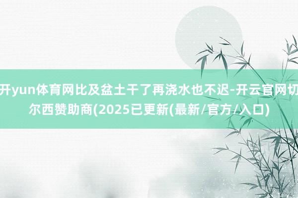 开yun体育网比及盆土干了再浇水也不迟-开云官网切尔西赞助商(2025已更新(最新/官方/入口)