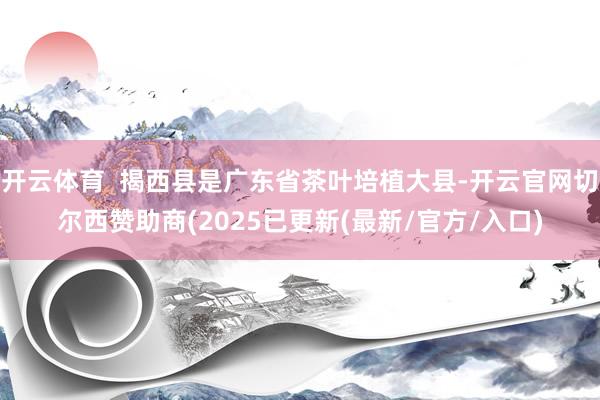 开云体育  揭西县是广东省茶叶培植大县-开云官网切尔西赞助商(2025已更新(最新/官方/入口)