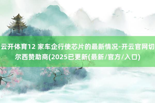云开体育12 家车企行使芯片的最新情况-开云官网切尔西赞助商(2025已更新(最新/官方/入口)