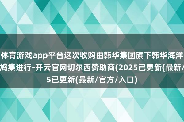 体育游戏app平台这次收购由韩华集团旗下韩华海洋和韩华系统鸠集进行-开云官网切尔西赞助商(2025已更新(最新/官方/入口)